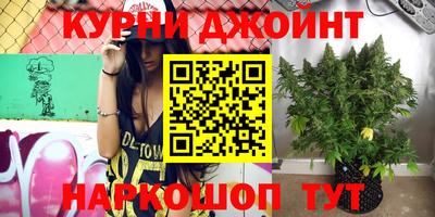 дмт Тула