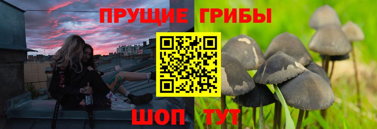 закладки  Галлюциногенные грибы GOLDEN TEACHER  Вход с VPN  Менделеевск 